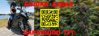 индика Магадан