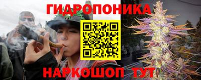 амфетамин Кудрово